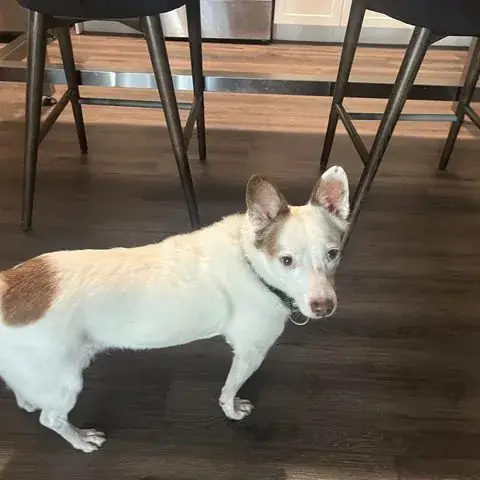 The client's foreman, off duty